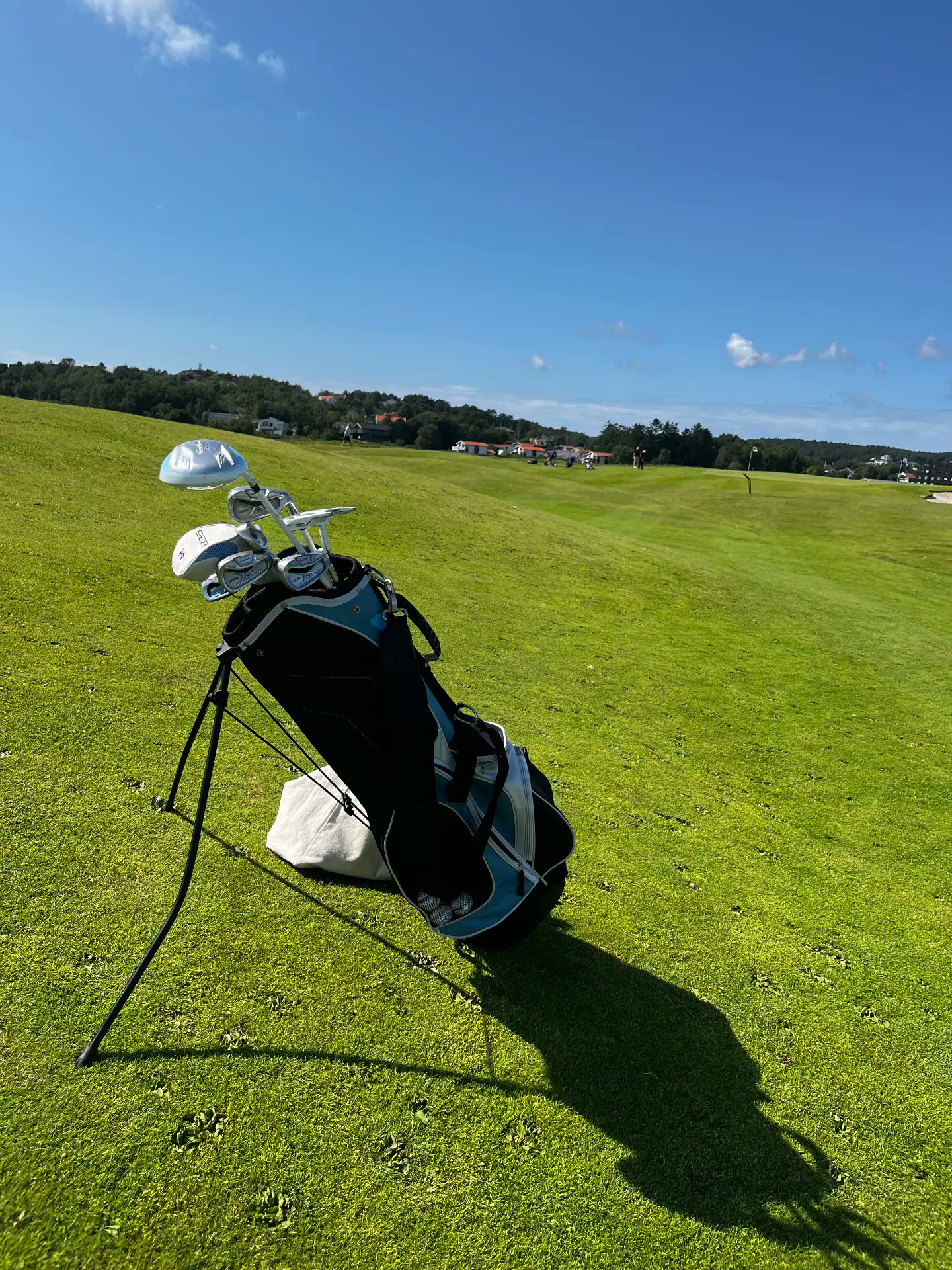 Golf bag on the fairway on a sunny day